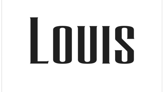 Logo Louis Le Salon