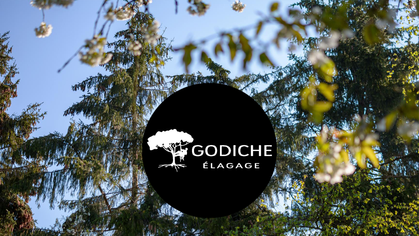 Godiche Élagage Nancy