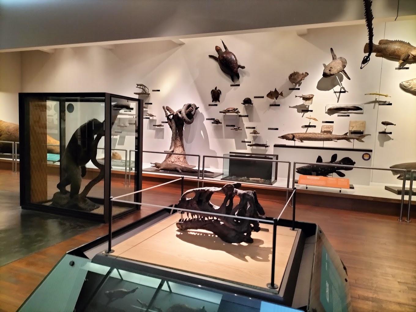 Muséum-Aquarium de Nancy